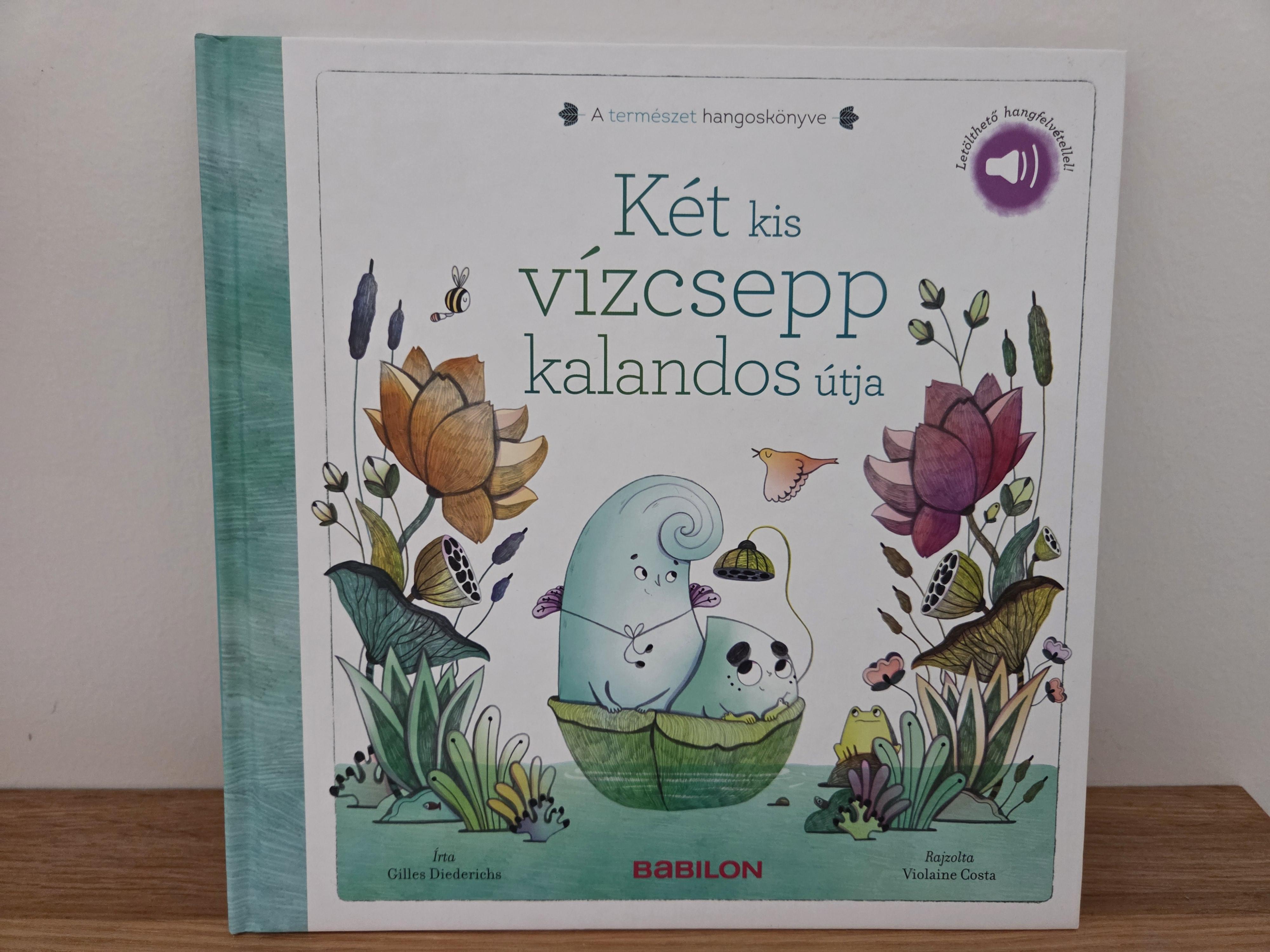 Két kis vízcsepp kalandos útja - Letölthető hangfelvétellel! – Gilles Diederichs